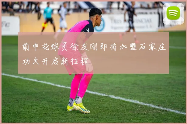 前申花球员徐友刚即将加盟石家庄功夫开启新征程