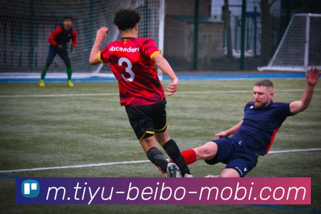 贝博体育服务体系